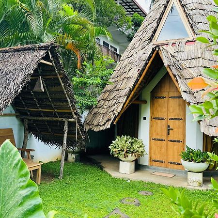 Turtle Wood Cabin Tangalle Dış mekan fotoğraf