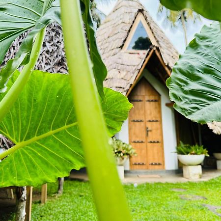 Turtle Wood Cabin Tangalle Dış mekan fotoğraf