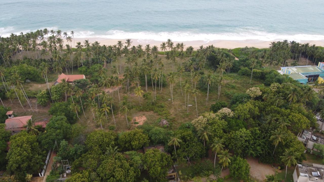 Turtle Wood Cabin Tangalle Dış mekan fotoğraf