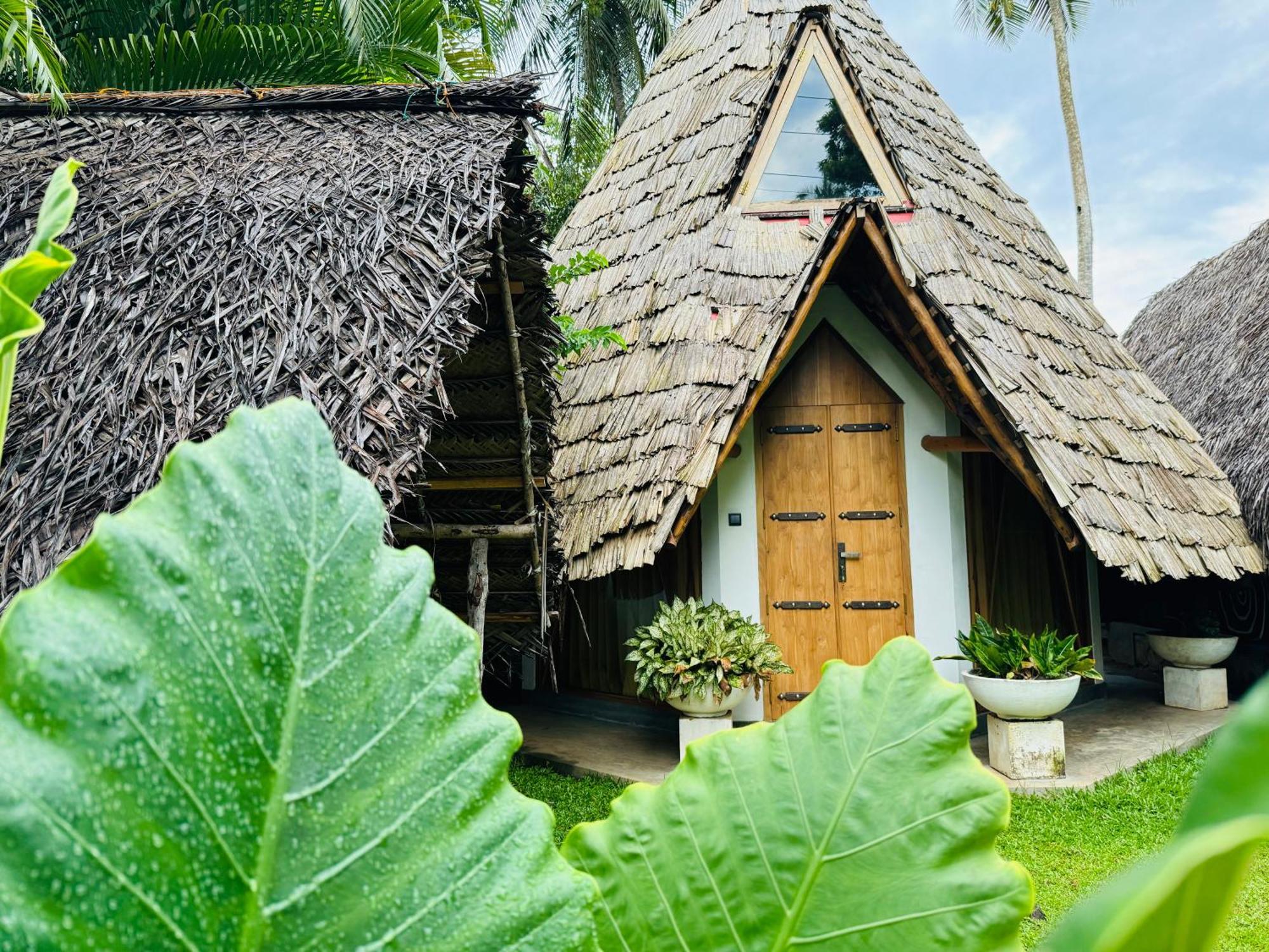Turtle Wood Cabin Tangalle Dış mekan fotoğraf