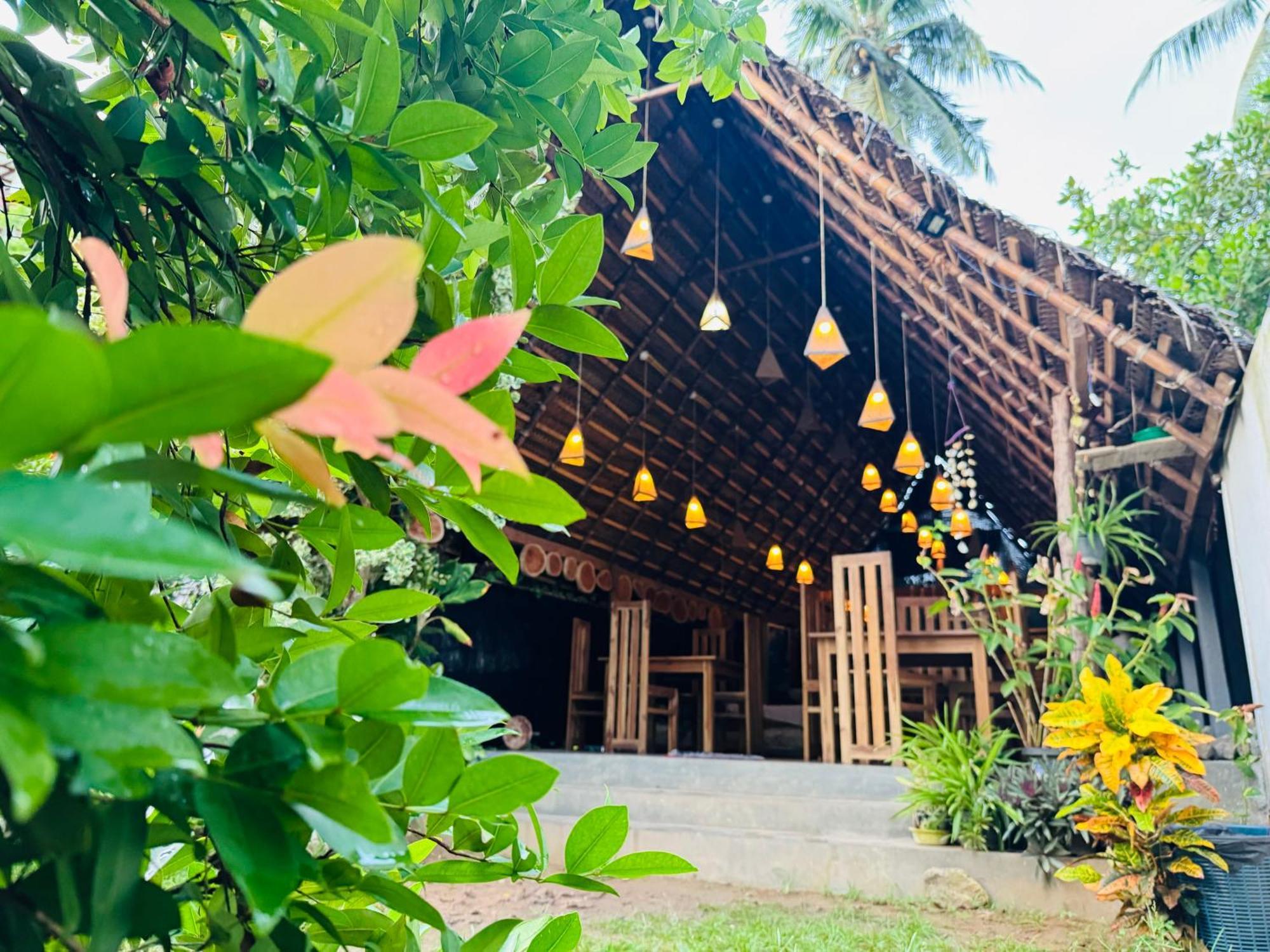 Turtle Wood Cabin Tangalle Dış mekan fotoğraf