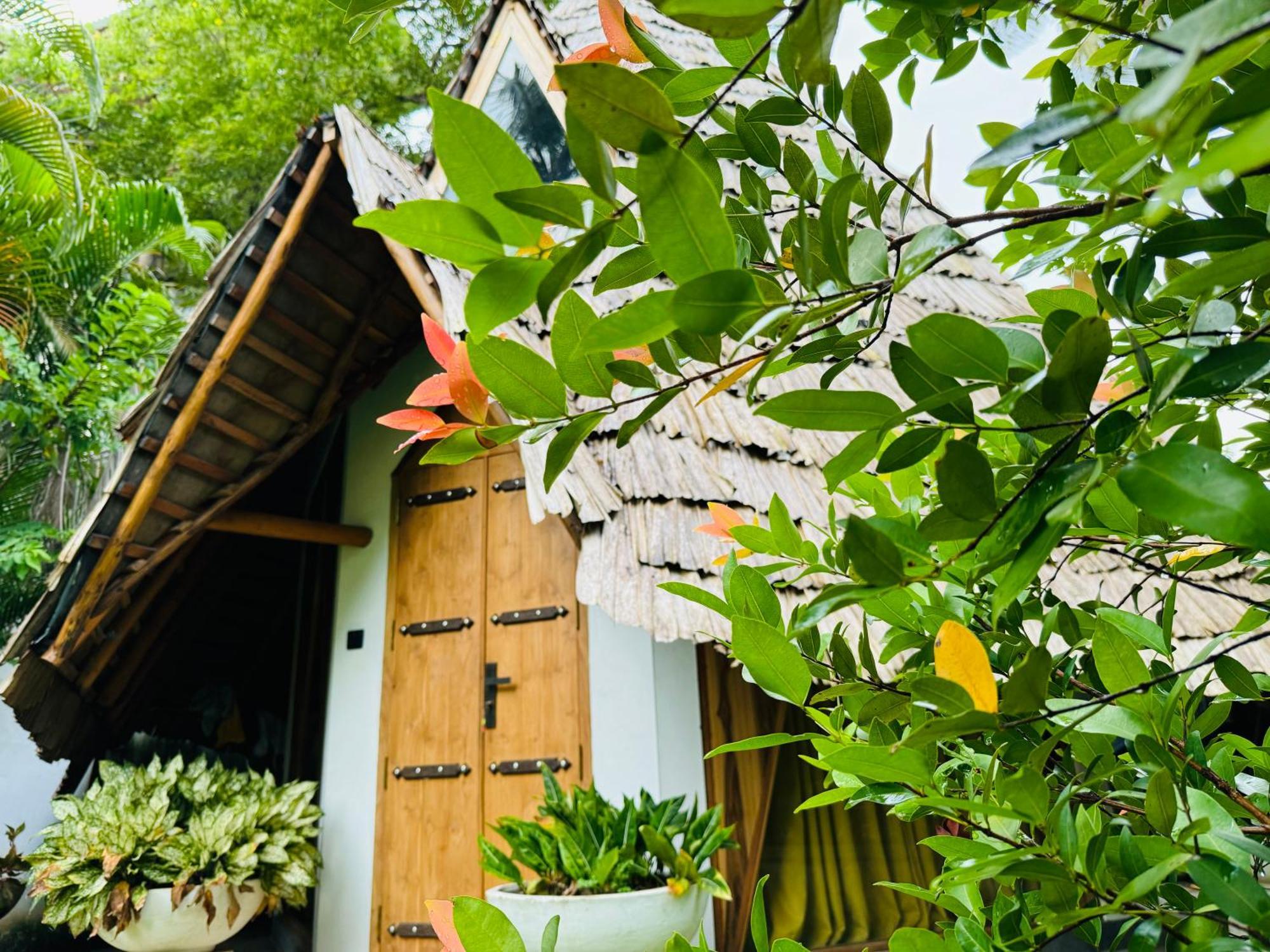 Turtle Wood Cabin Tangalle Dış mekan fotoğraf