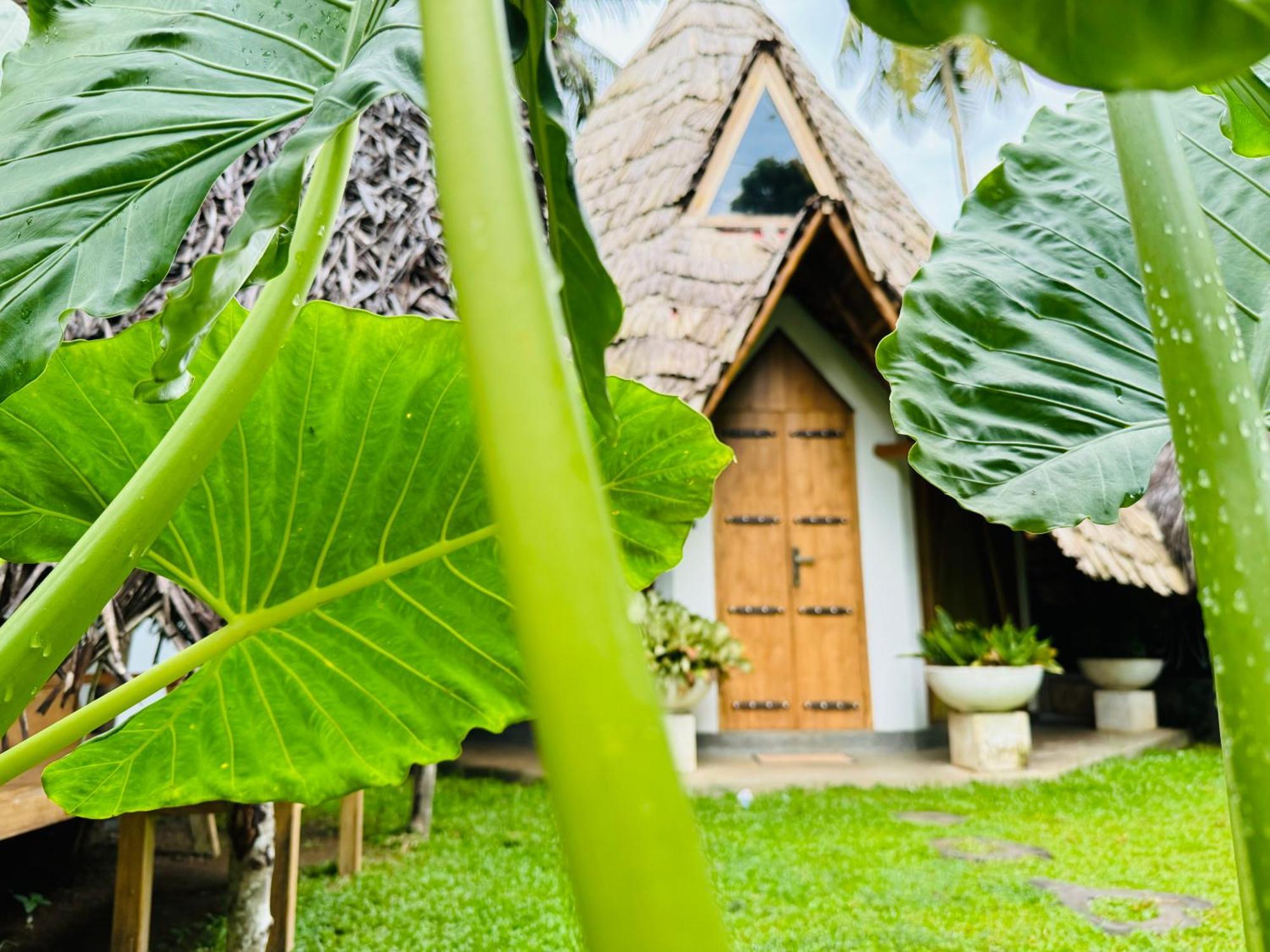 Turtle Wood Cabin Tangalle Dış mekan fotoğraf