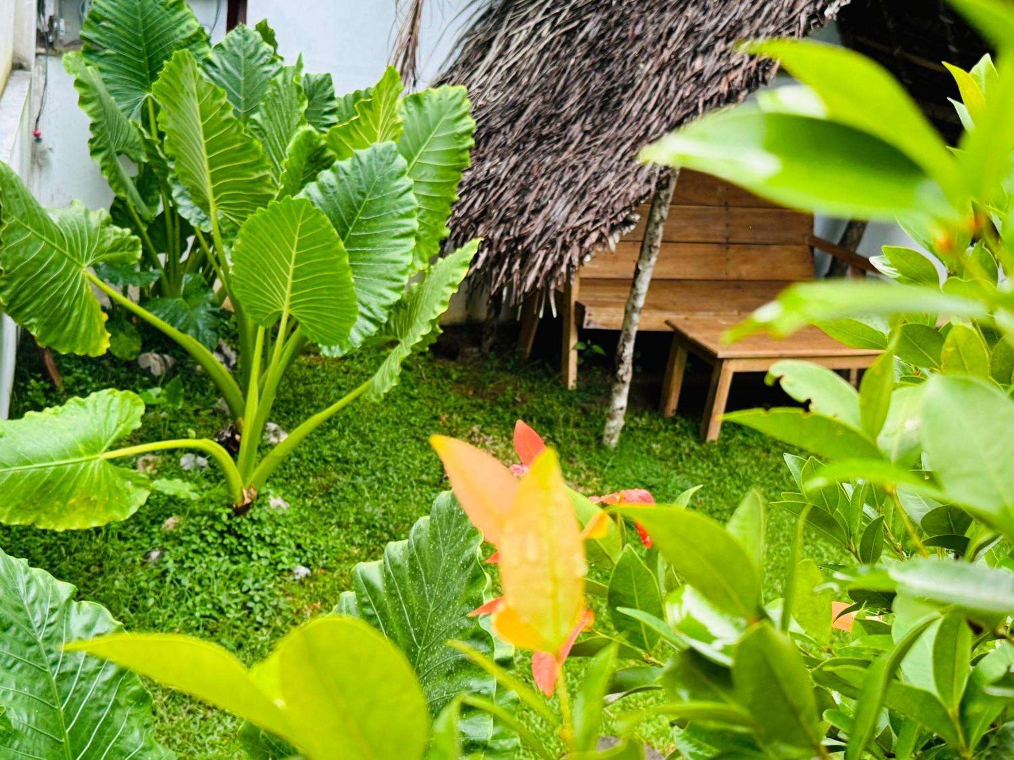 Turtle Wood Cabin Tangalle Dış mekan fotoğraf