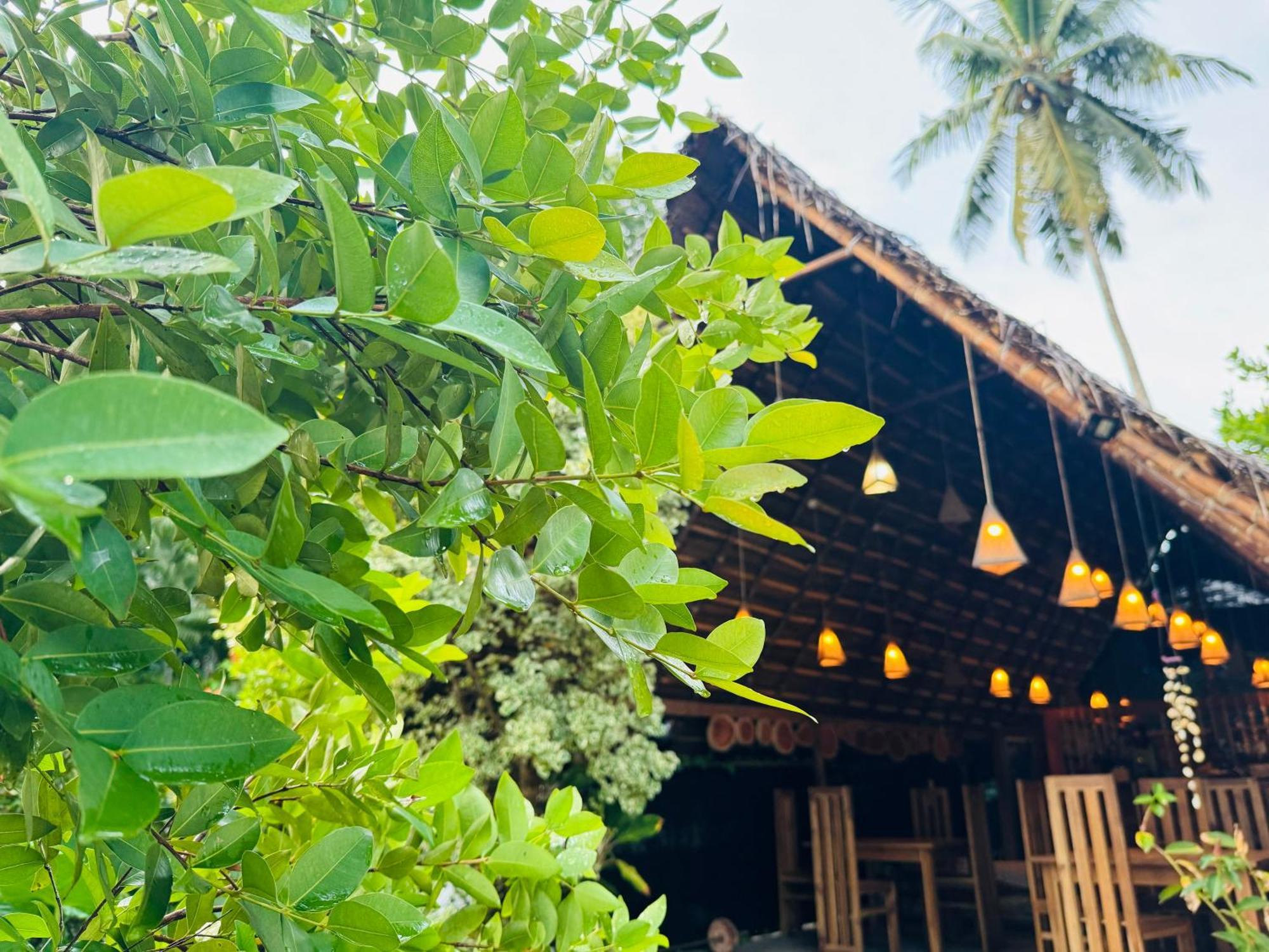 Turtle Wood Cabin Tangalle Dış mekan fotoğraf